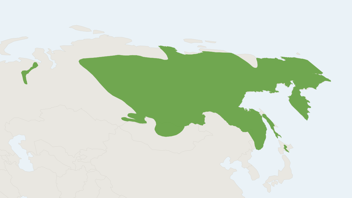 Range map of the Northern Pika (Ochotona hyperborea)