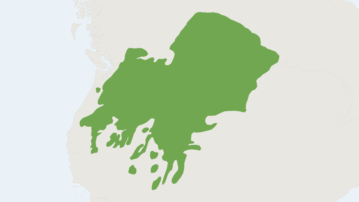 Range map of the Northern Pocket Gopher (Thomomys talpoides)