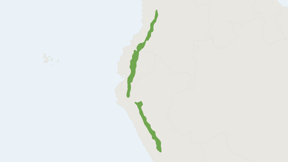Range map of the Northern Pudu (Pudu mephistophiles)