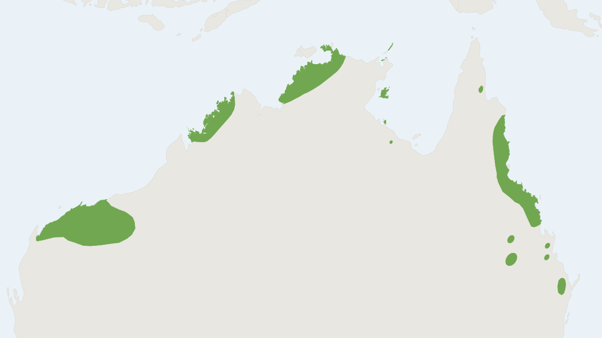 Range map of the Northern Quoll (Dasyurus hallucatus)