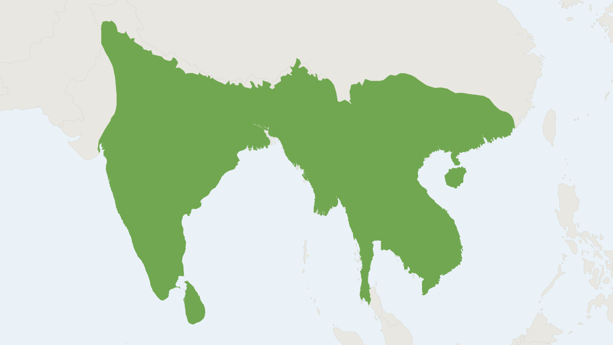 Range map of the Northern Red Muntjac (Muntiacus vaginalis)