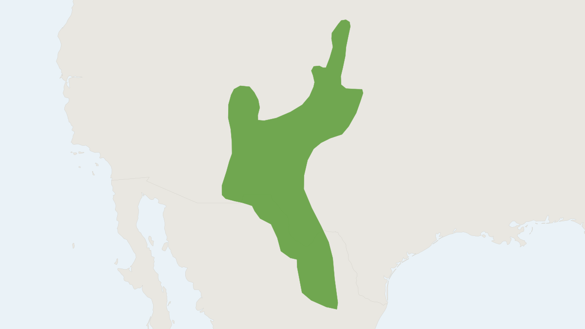 Range map of the Northern Rock Mouse (Peromyscus nasutus)