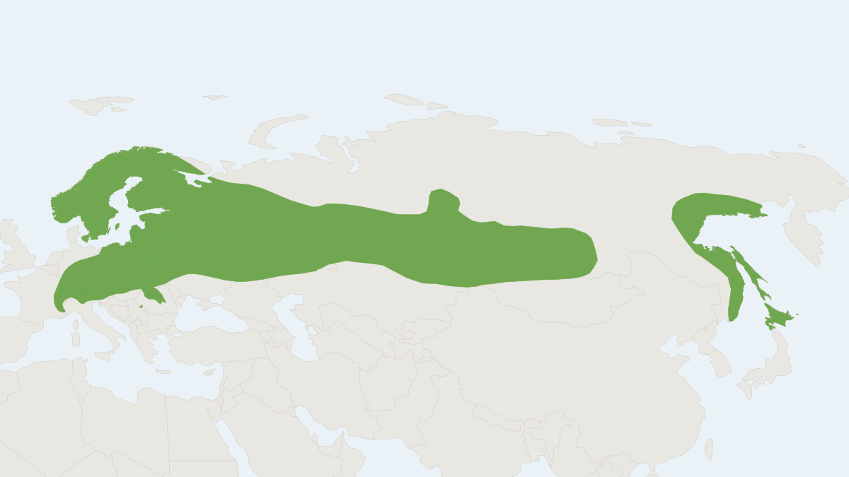 Range map of the Northern Serotine (Cnephaeus nilssonii)