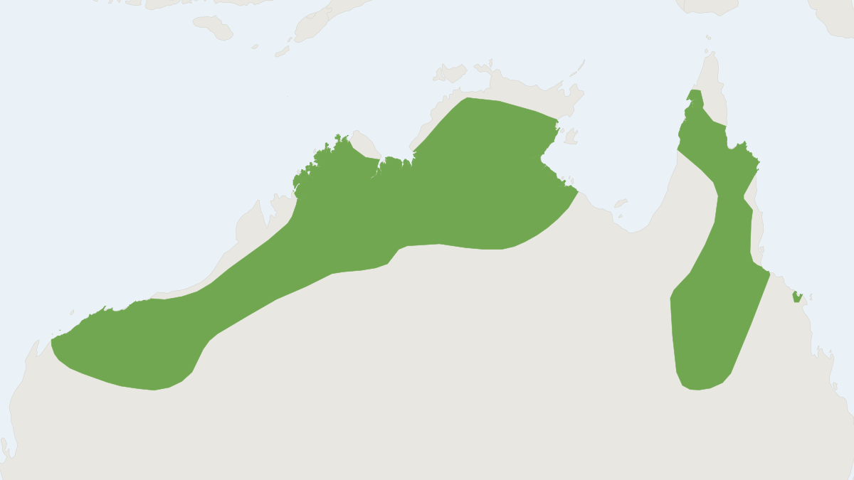 Range map of the Northern Short-tailed Mouse (Leggadina lakedownensis)