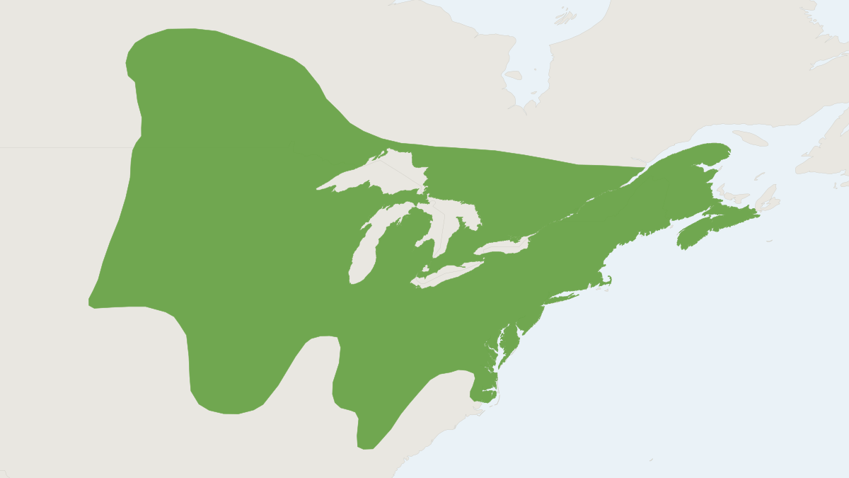 Range map of the Northern Short-tailed Shrew (Blarina brevicauda)