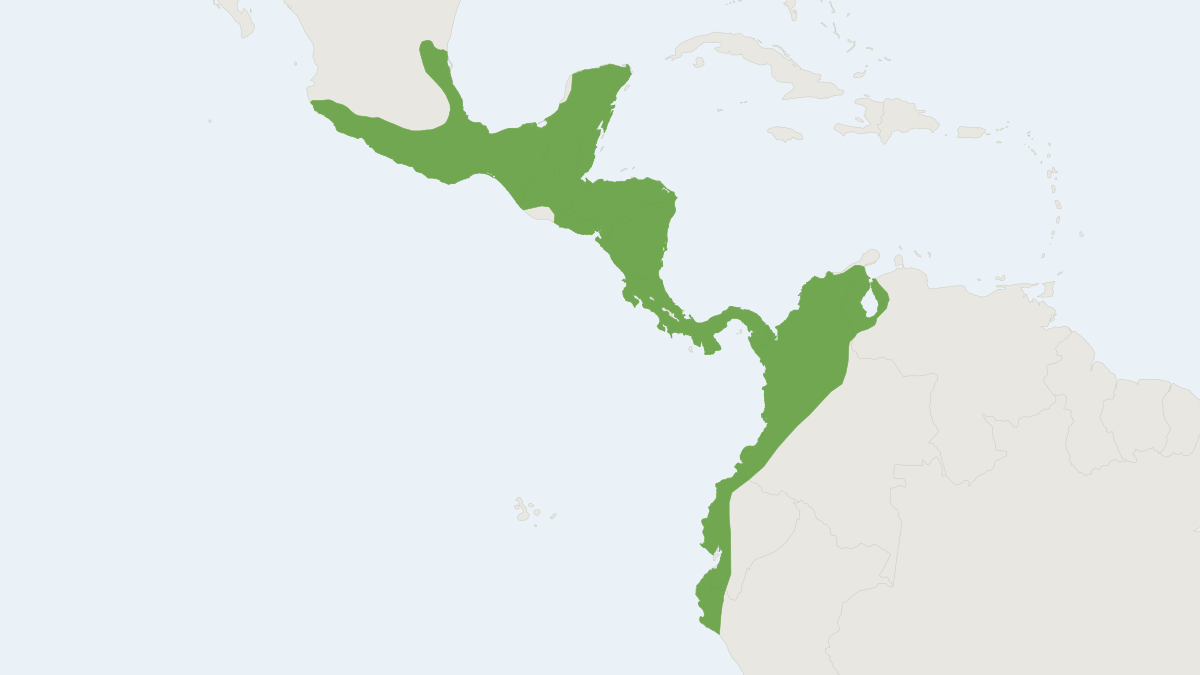 Range map of the Northern Tamandua (Tamandua mexicana)
