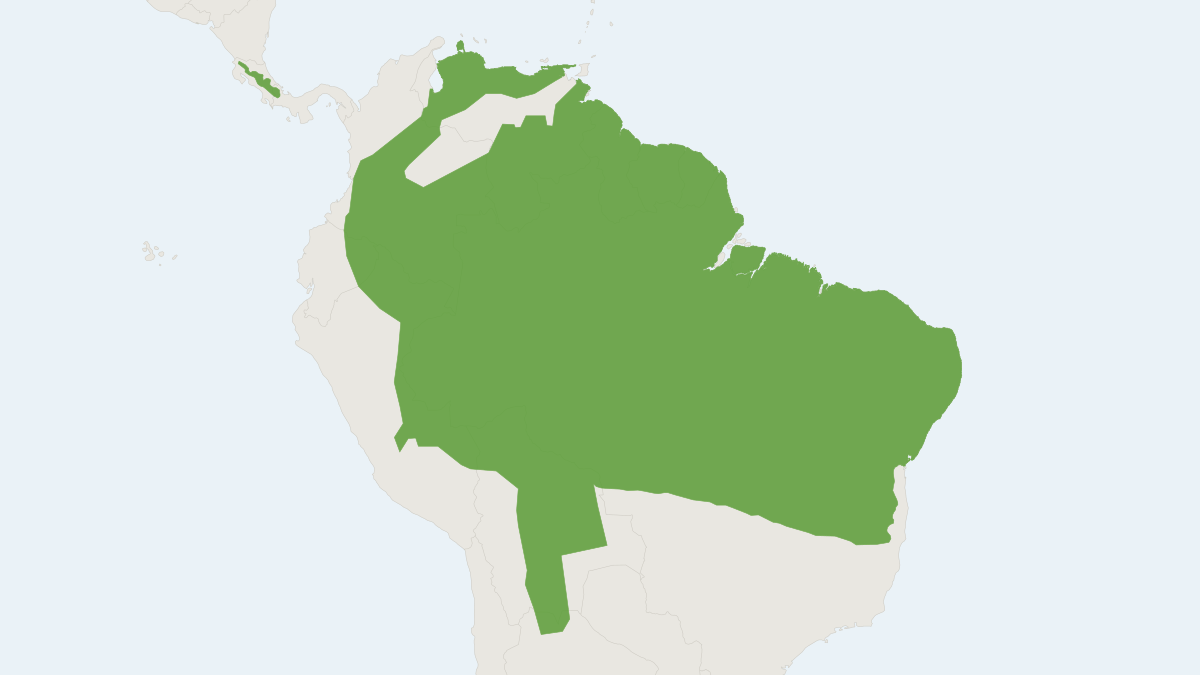 Range map of the Northern Tiger Cat (Leopardus tigrinus)