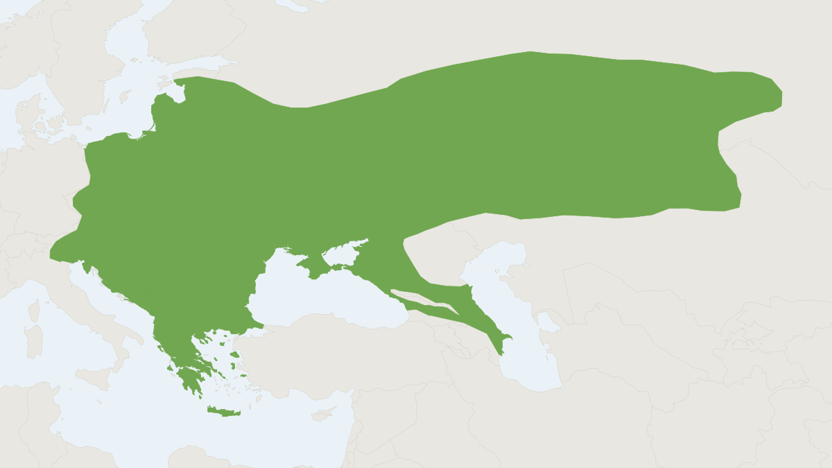 Range map of the Northern White-breasted Hedgehog (Erinaceus roumanicus)