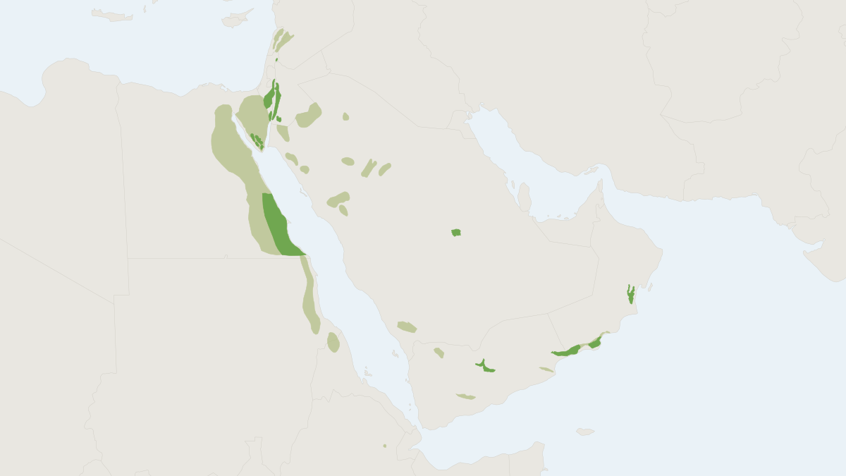 Range map of the Nubian Ibex (Capra nubiana) covering Egypt, Israel and Jordan