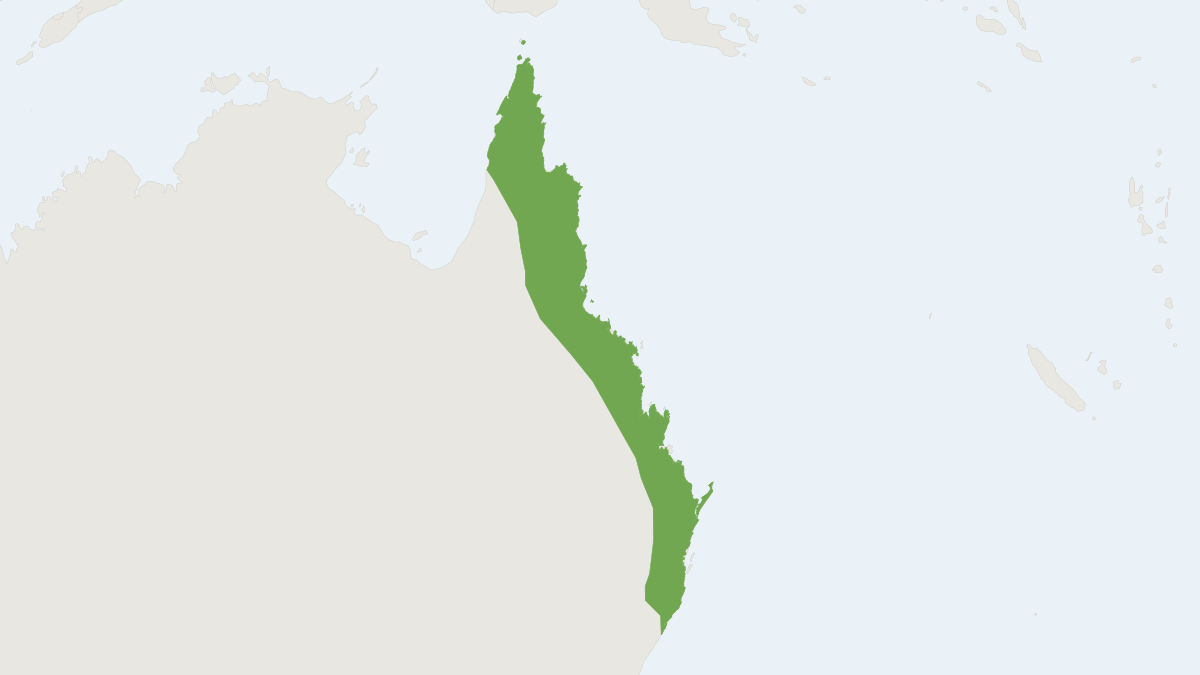 Range map of the Nyctophilus bifax (Nyctophilus bifax)