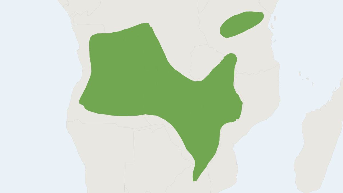 Range map of the Nyika African Climbing Mouse (Poemys nyikae)
