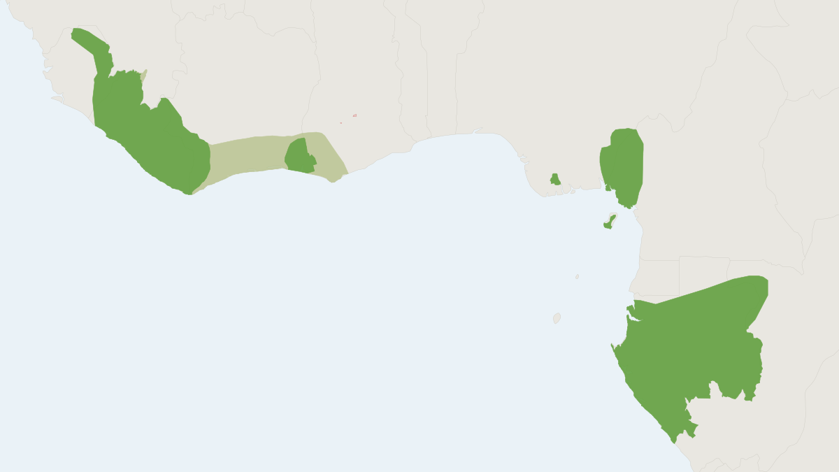 Range map of the Ogilby's Duiker (Cephalophus ogilbyi) covering Cameroon, Equatorial Guinea and Nigeria