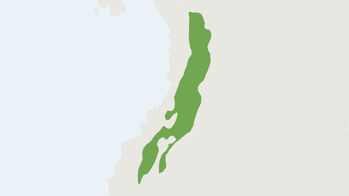 Range map of the Olinguito (Bassaricyon neblina)