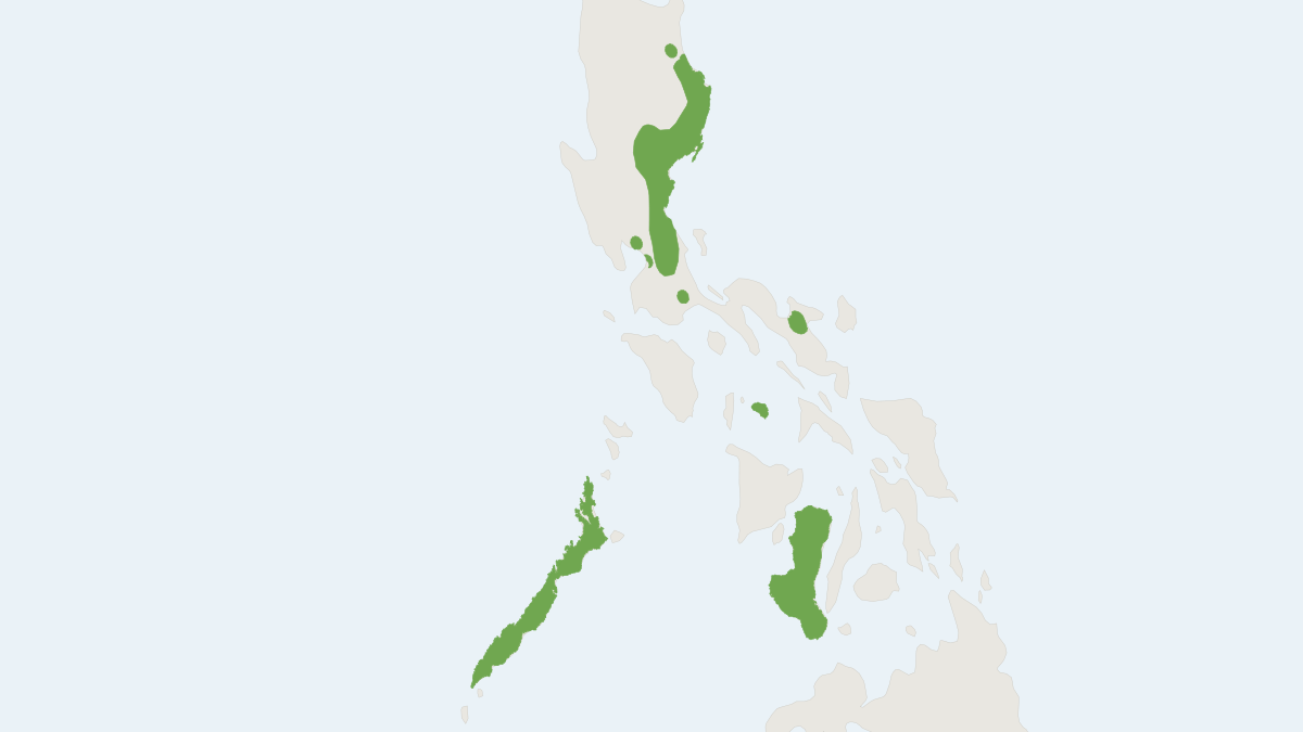 Range map of the Orange-fingered Myotis (Myotis rufopictus)