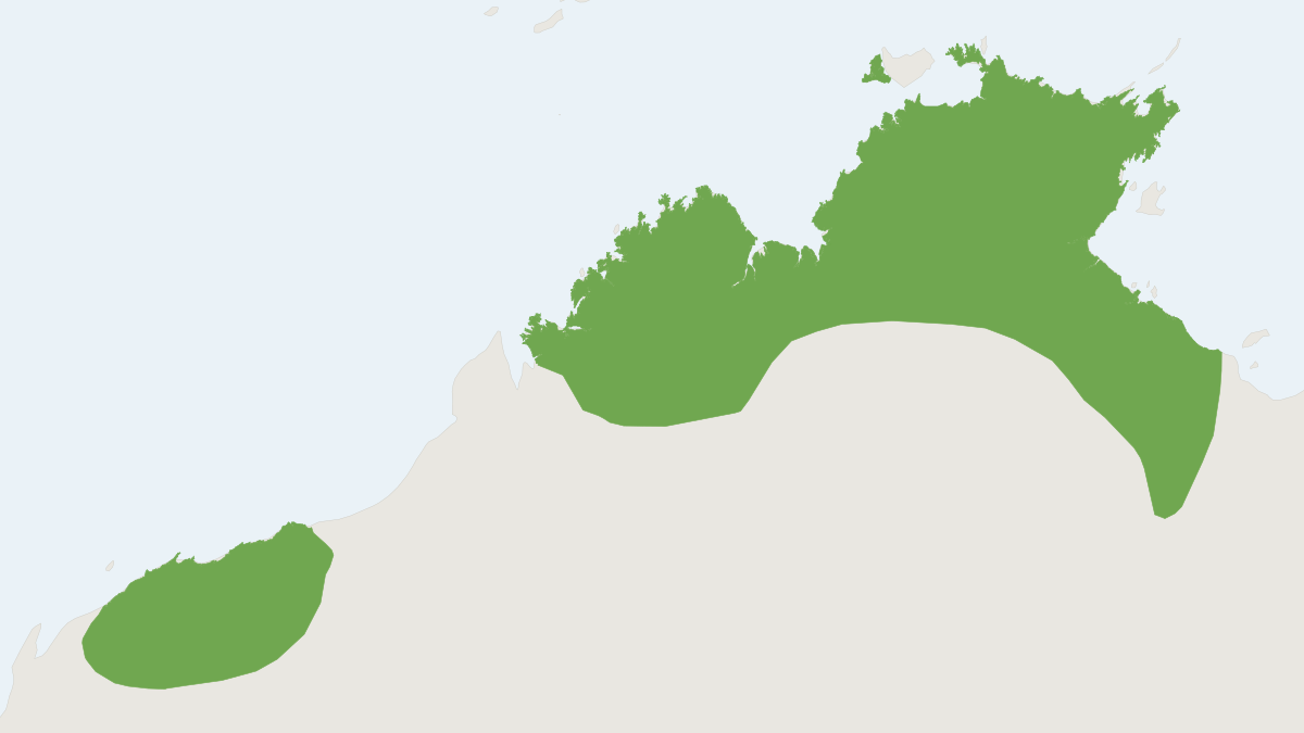 Range map of the Orange Leaf-nosed Bat (Rhinonicteris aurantia)