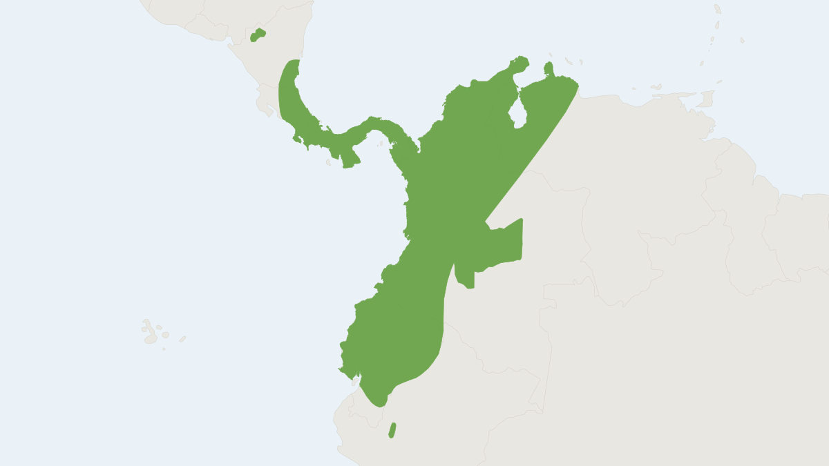 Range map of the Orange Nectar Bat (Lonchophylla robusta)