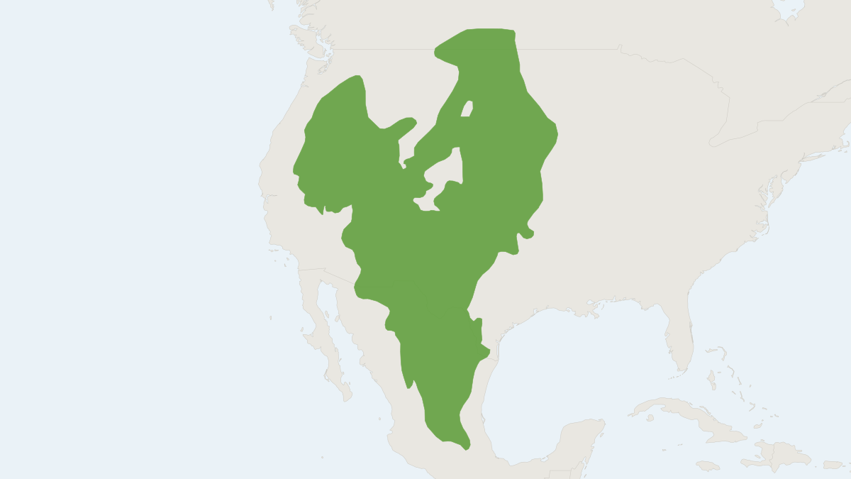 Range map of the Ord's Kangaroo Rat (Dipodomys ordii)