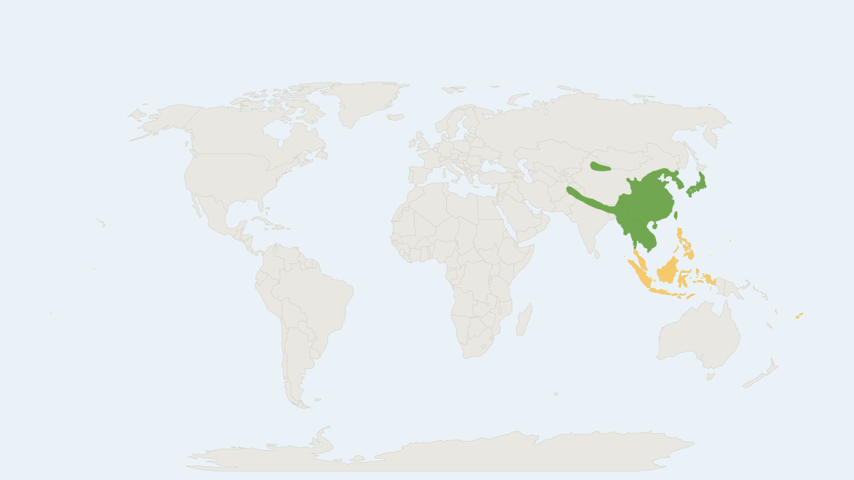 Range map of the Oriental House Rat (Rattus tanezumi)