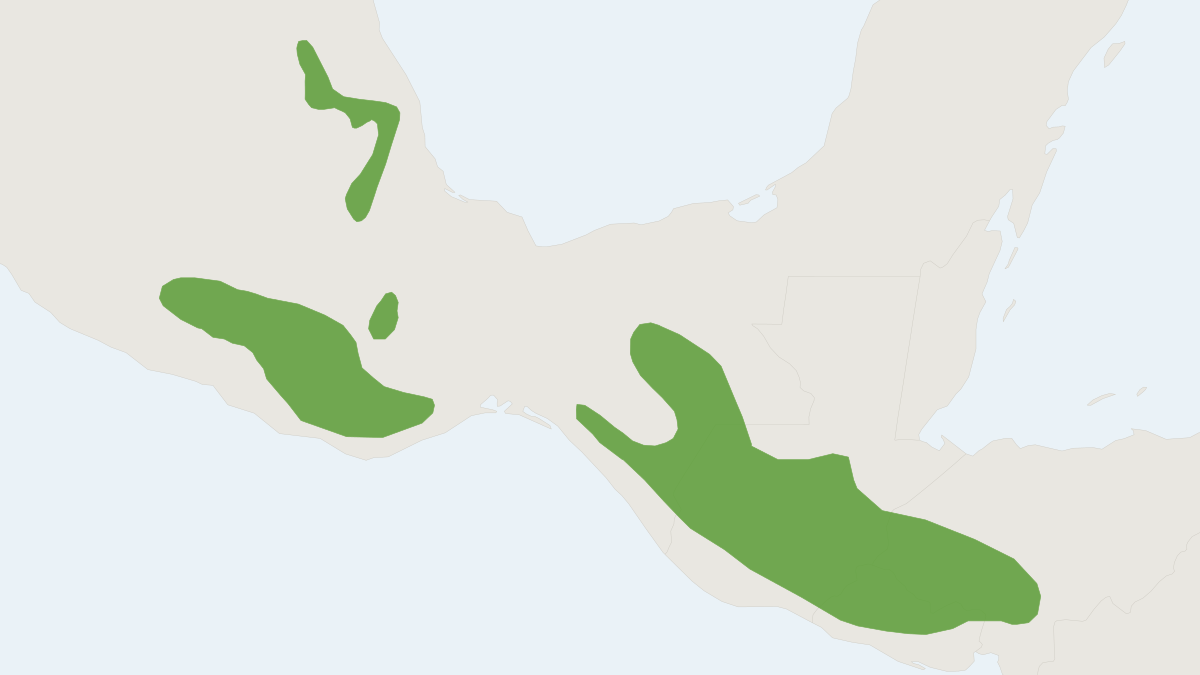 Range map of the Orizaba Deermouse (Peromyscus beatae)