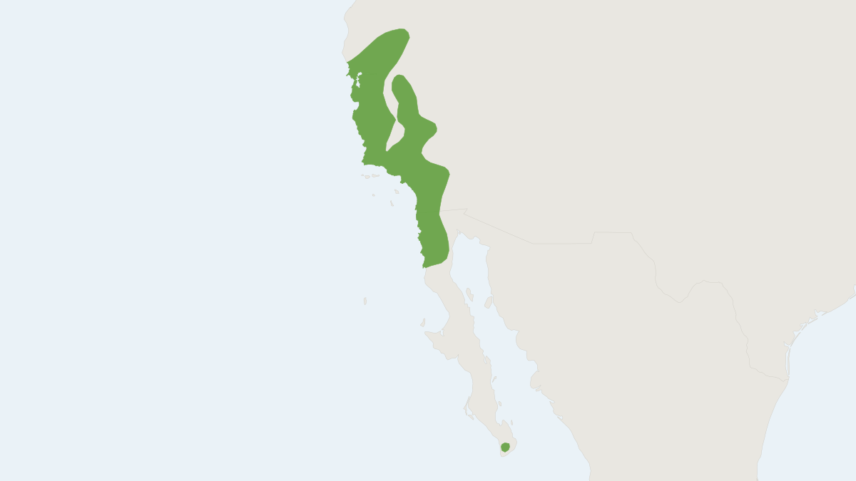 Range map of the Ornate Shrew (Sorex ornatus)