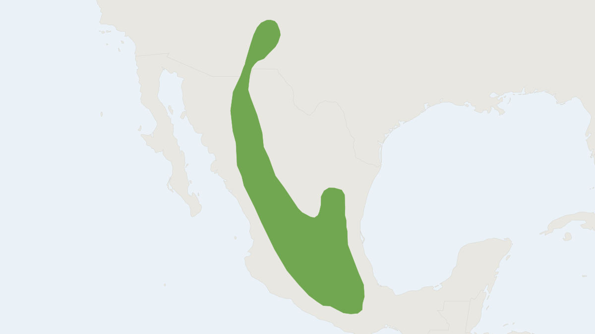 Range map of the Osgood's Mouse (Peromyscus gratus)