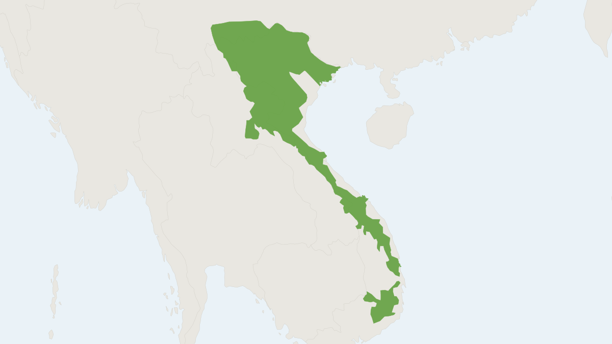 Range map of the Owston's Civet (Chrotogale owstoni) covering China, Laos and Vietnam
