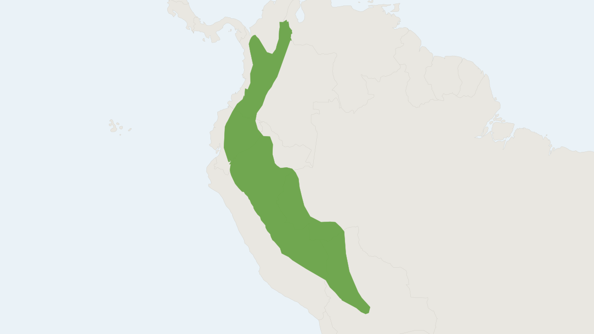 Range map of the Pacarana (Dinomys branickii)