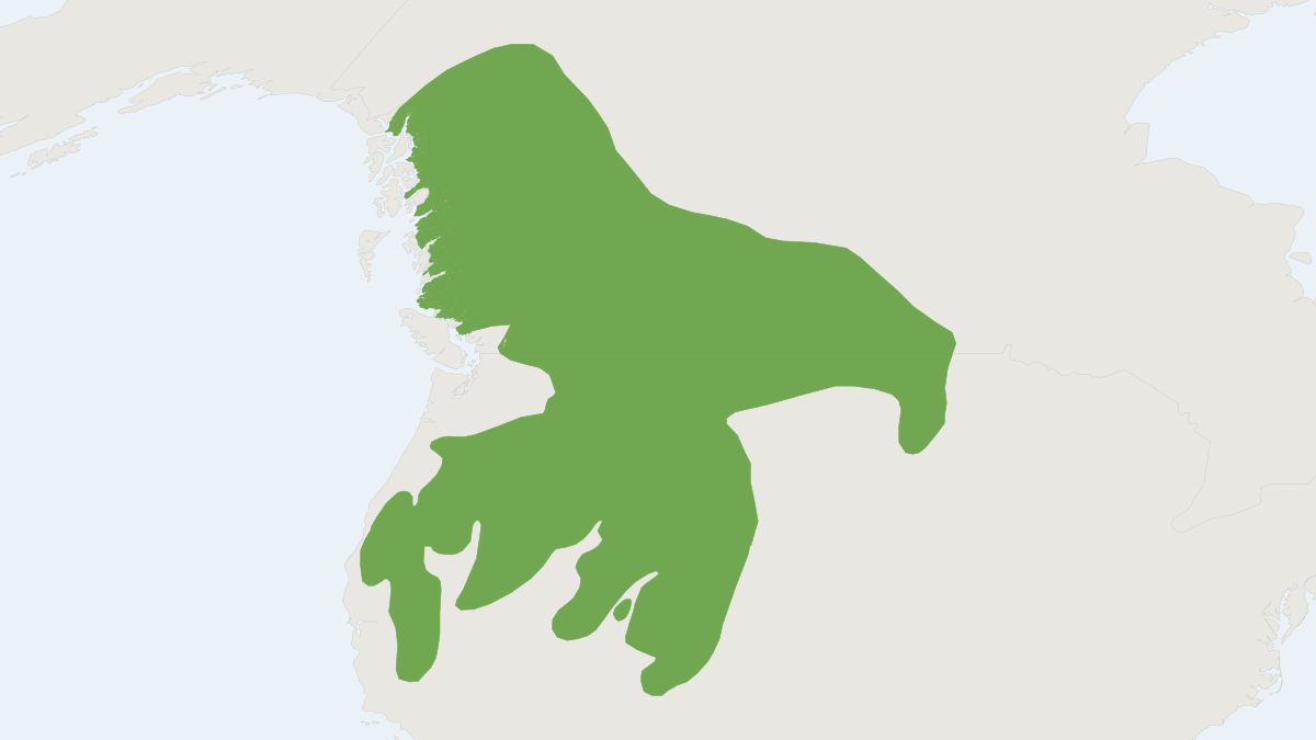 Range map of the Pacific Jumping Mouse (Zapus princeps)