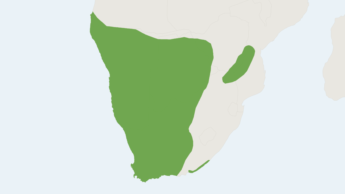 Range map of the Paeba Hairy-footed Gerbil (Gerbilliscus paeba)