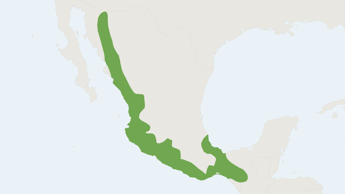 Range map of the Painted Spiny Pocket Mouse (Heteromys pictus)