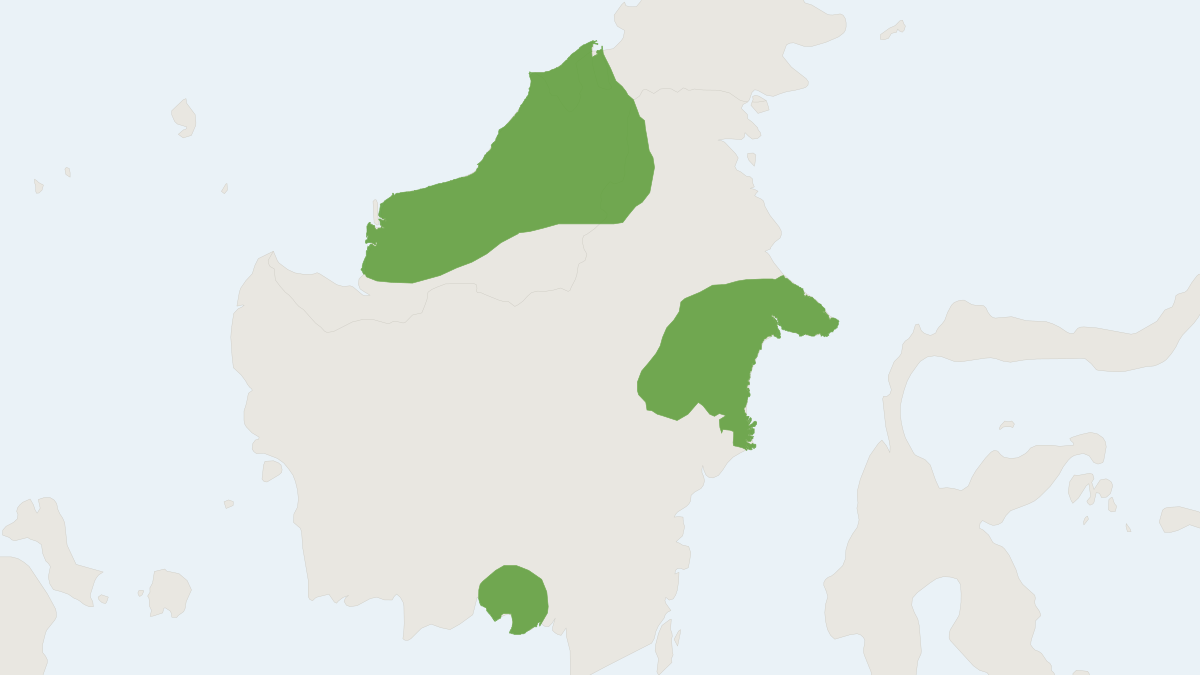 Range map of the Painted Treeshrew (Tupaia picta)