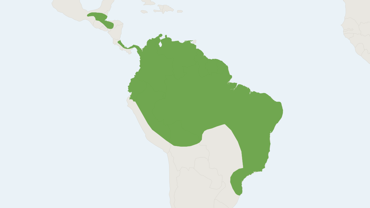Range map of the Pale-faced Bat (Phylloderma stenops)