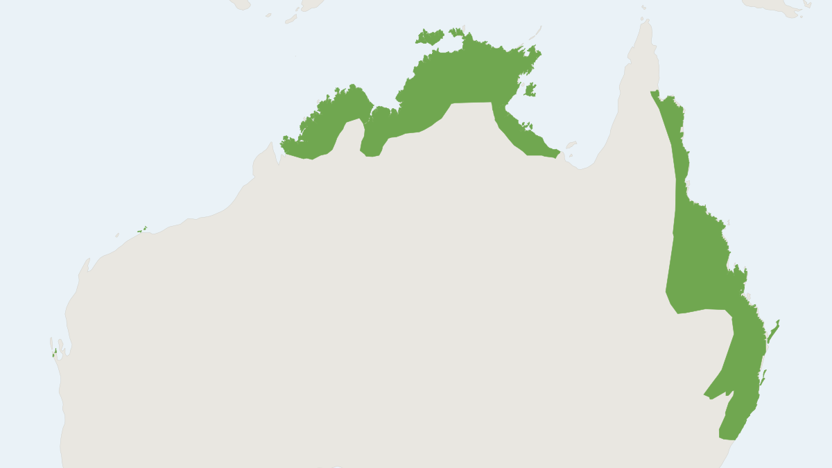 Range map of the Pale Field Rat (Rattus tunneyi)