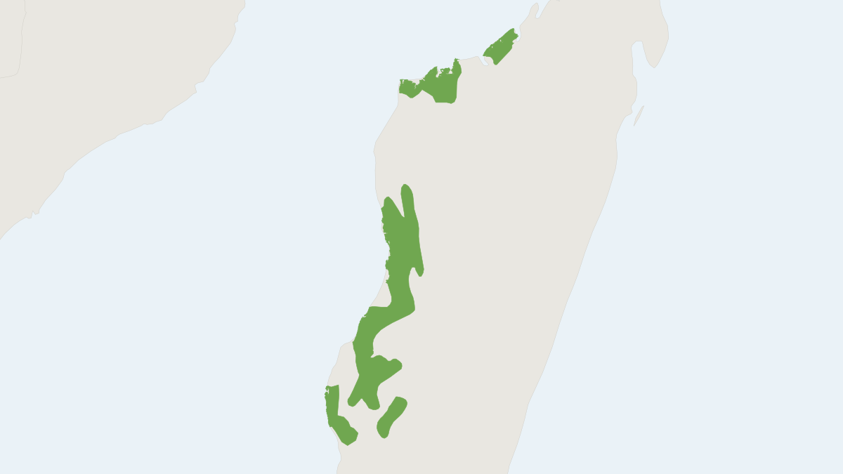 Range map of the Pale Fork-marked Lemur (Phaner pallescens)