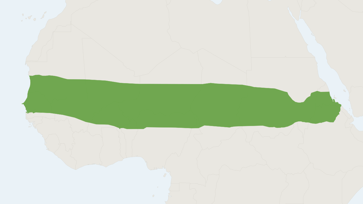 Range map of the Pale Fox (Vulpes pallida)