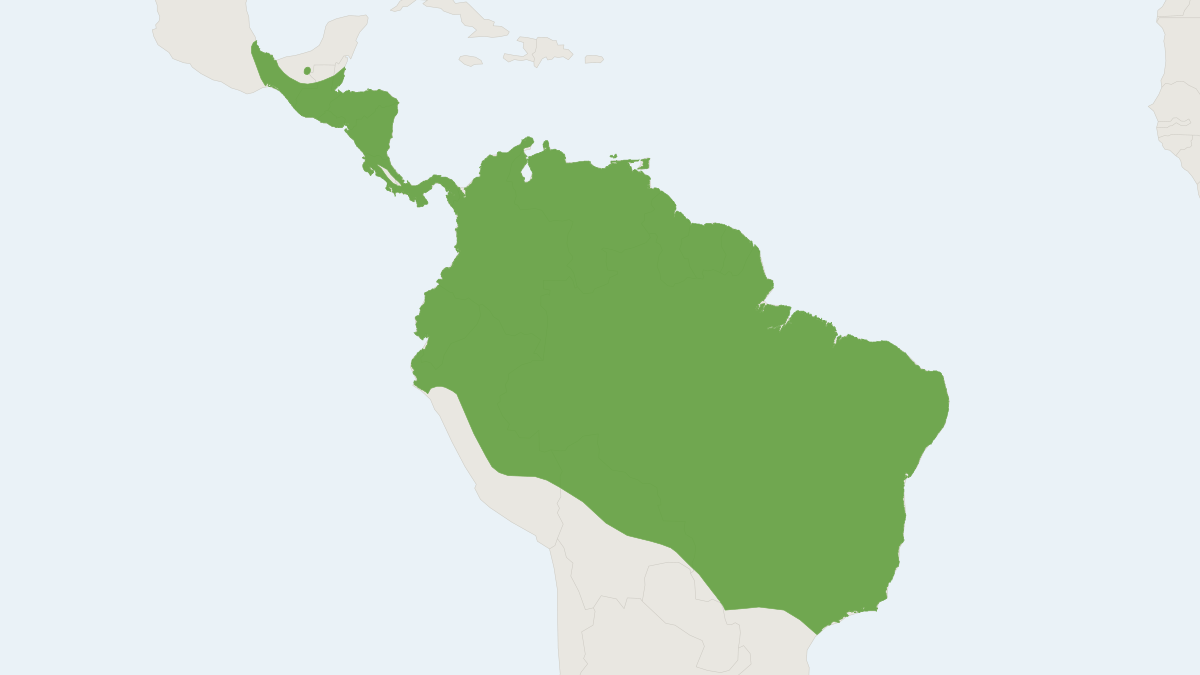 Range map of the Pale Spear-nosed Bat (Phyllostomus discolor)