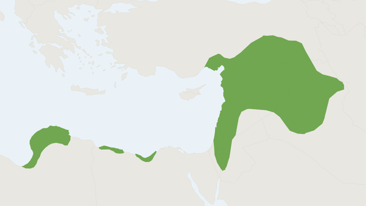 Range map of the Palestine Mole Rat (Nannospalax ehrenbergi)