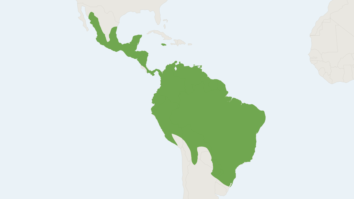 Range map of the Pallas's Long-tongued Bat (Glossophaga soricina)