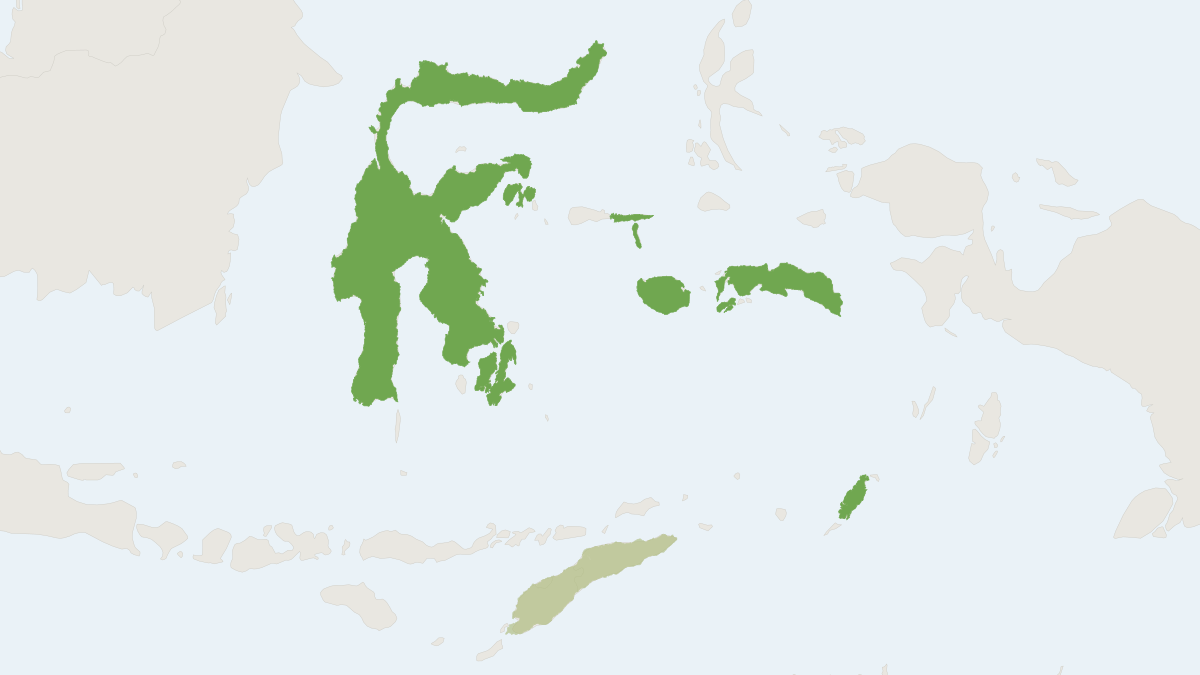 Range map of the Pallas's Tube-nosed Bat (Nyctimene cephalotes)