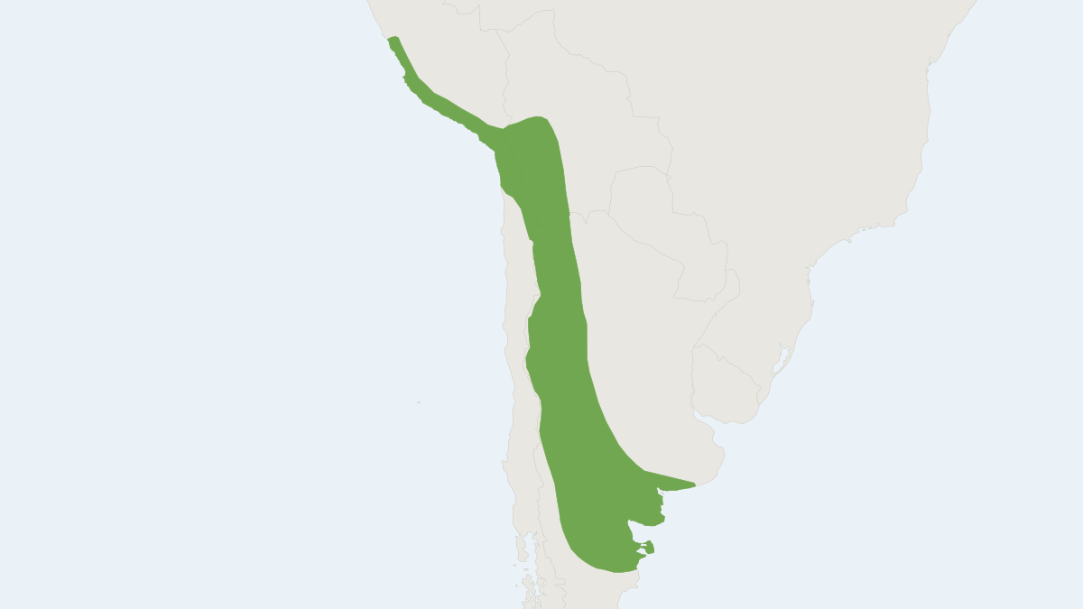 Range map of the Pallid Fat-tailed Opossum (Thylamys pallidior)