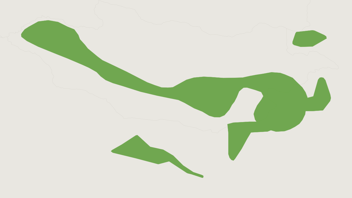 Range map of the Pallid Ground Squirrel (Spermophilus pallidicauda)
