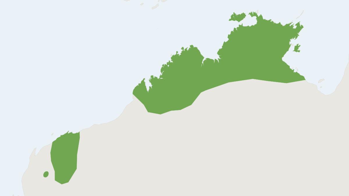 Range map of the Pallid Long-eared Bat (Nyctophilus daedalus)