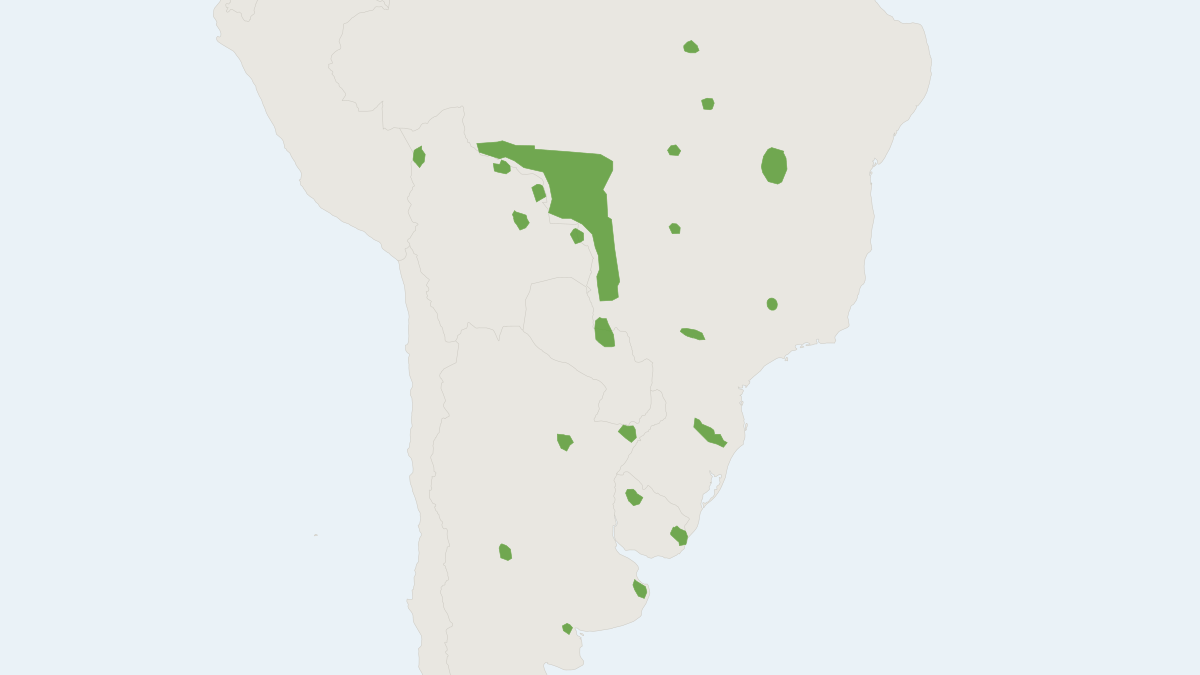 Range map of the Pampas Deer (Ozotoceros bezoarticus)