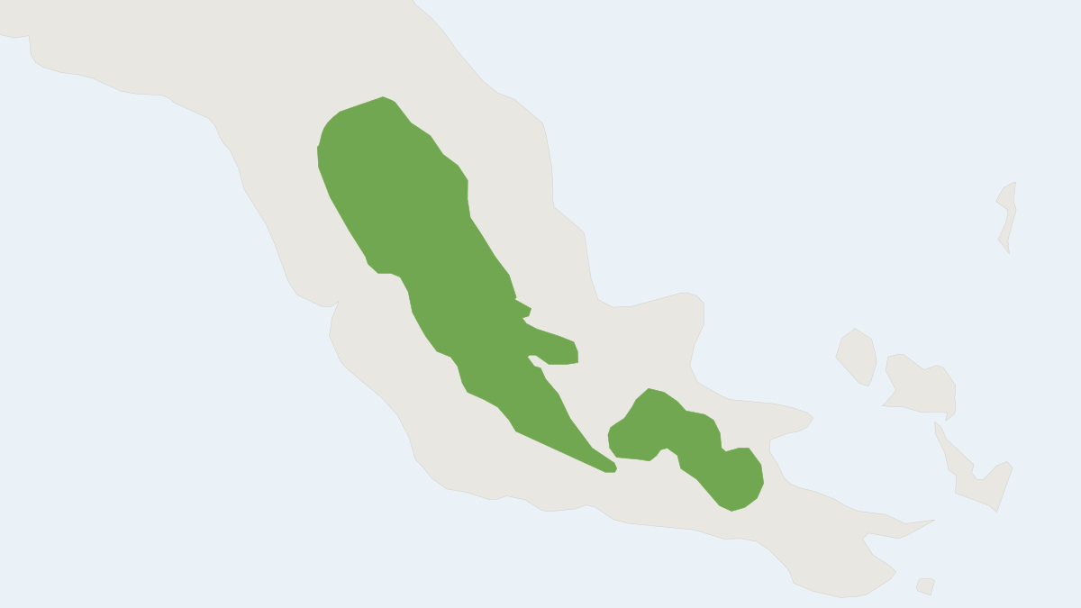 Range map of the Papuan Bandicoot (Microperoryctes papuensis)