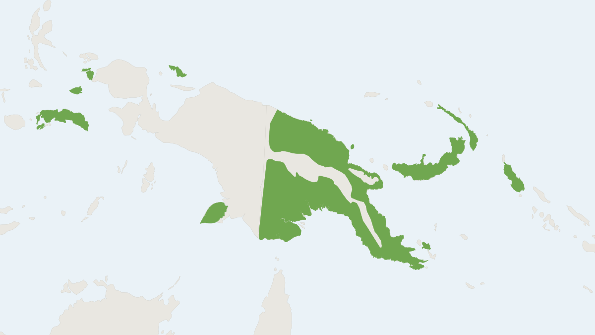 Range map of the Papuan Pipistrelle (Pipistrellus papuanus)
