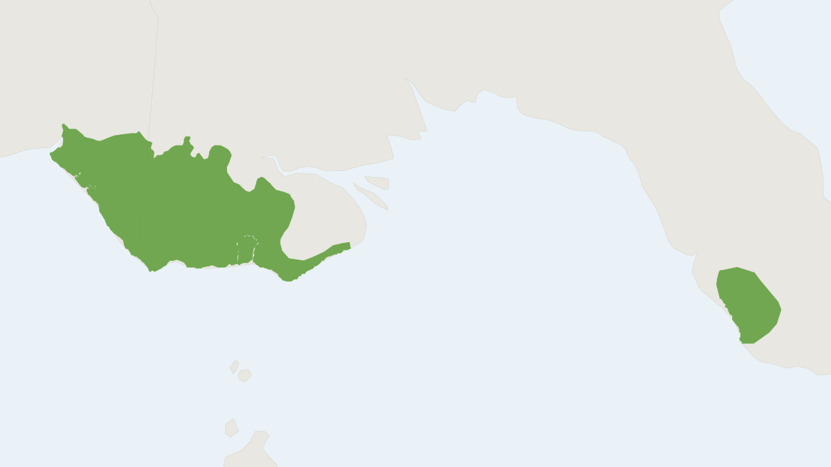 Range map of the Papuan Planigale (Planigale novaeguineae)