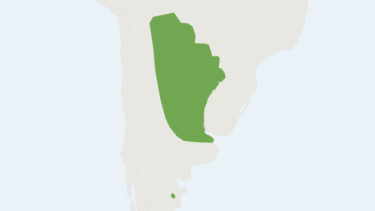 Range map of the Patagonian Dwarf Bonneted Bat (Eumops patagonicus)