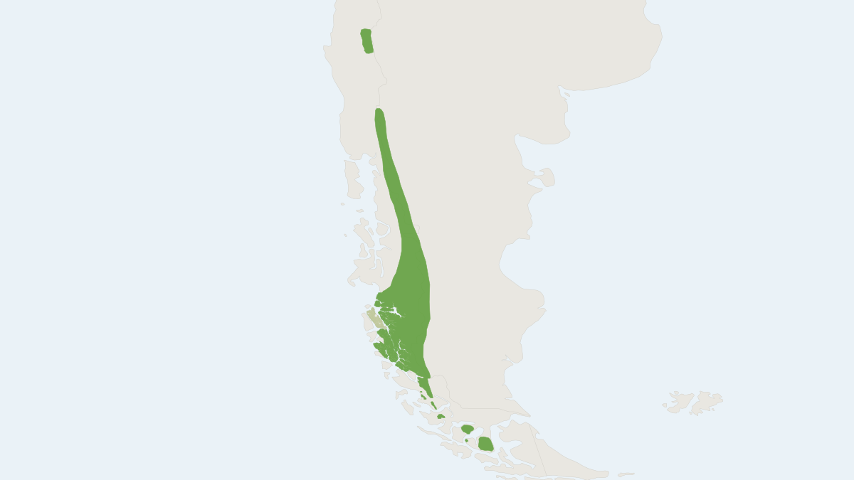 Range map of the Patagonian Huemul (Hippocamelus bisulcus)