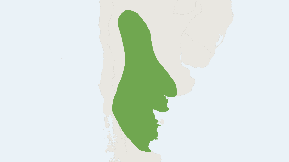 Range map of the Patagonian Mara (Dolichotis patagonum)