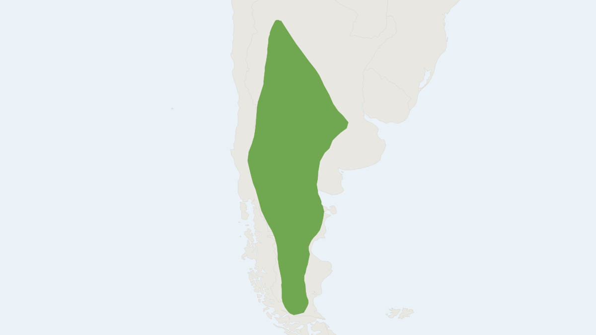 Range map of the Patagonian Weasel (Lyncodon patagonicus)